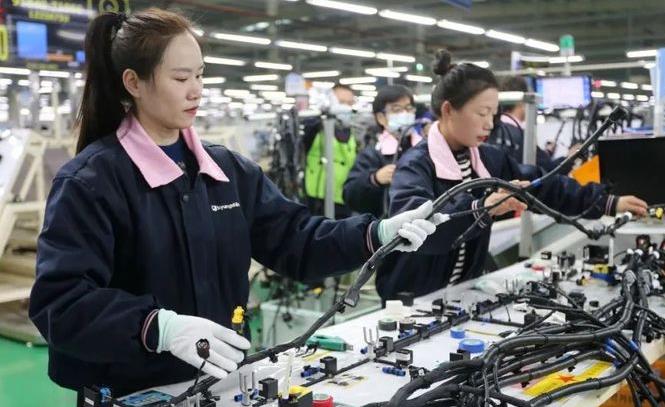 ​����(n��i)���������(y��ng)������ͣ�a(ch��n)����܇�ИI(y��)ӭ�����̹ǵġ���������